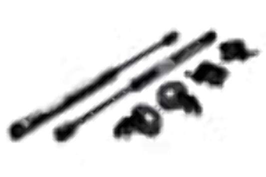 Ford Racing Performance Engraved Hood Struts Prop Lift Kit 15-19 Mustang