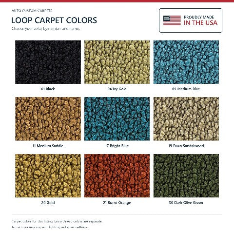 1969 Dodge Charger Daytona Auto Loop Floor Mats with Embroidered Logo Choices - 4-Piece - product details image 7